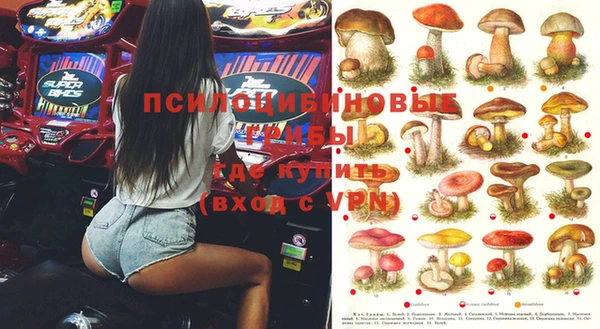 прущие грибы Лиски