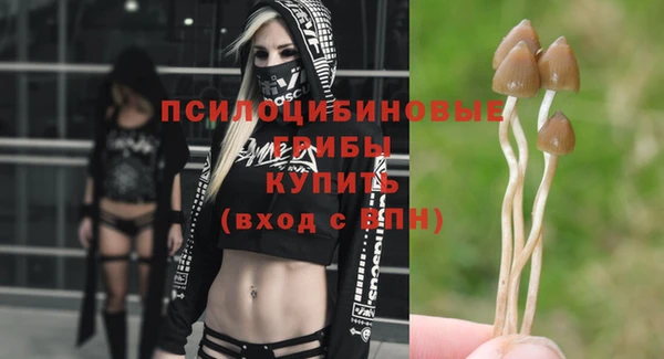прущие грибы Лиски