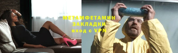 прущие грибы Лиски