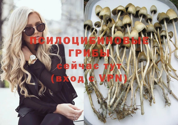 метадон Магас