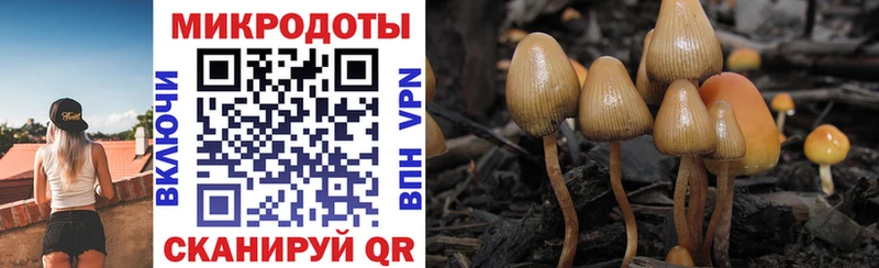Галлюциногенные грибы GOLDEN TEACHER Якутск