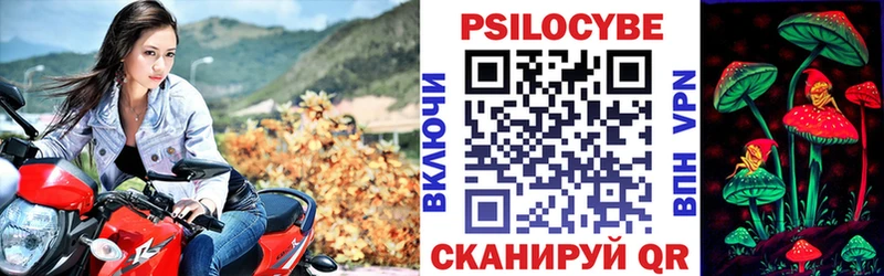 Купить закладки  Якутск  Псилоцибиновые грибы GOLDEN TEACHER 